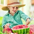 thumbnail image 2 of Stainless Watermelon Slicer Fruit Slicer Portable For Home Watermelon Cutter Slicer Tool Thicken Stainless Fruit Cutter Watermelon Slicer Cutter Tool, 2 of 6