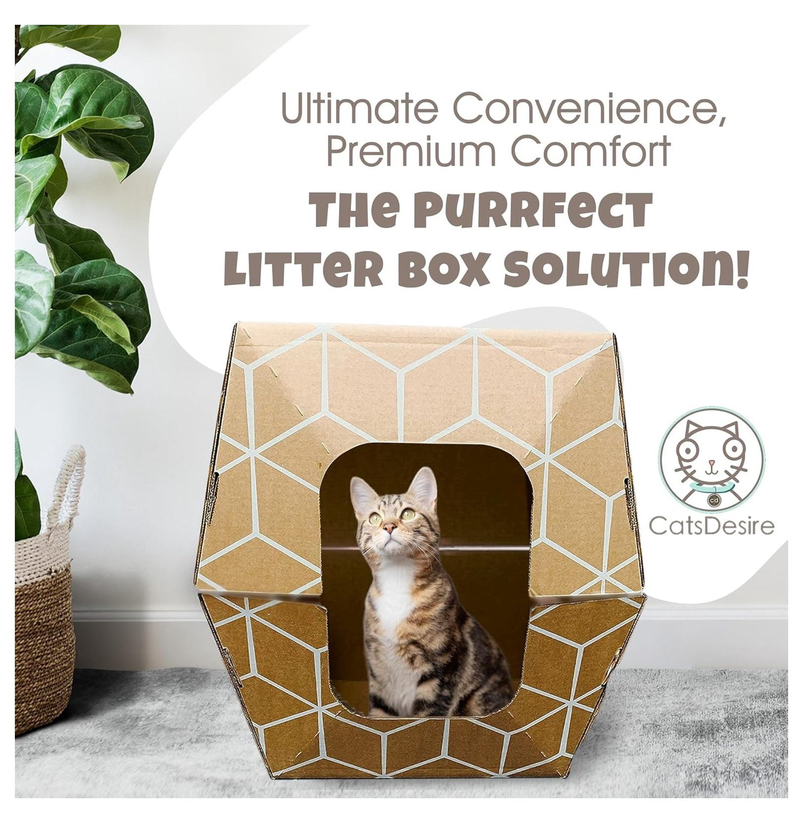 Disposable Cat Litter Boxes 15 Pack - Tallest Low Entry Design 19x17x8.5in - Leakproof Cat Litter Tray - Versatile Open/Closed Use - Cat Care Essentials