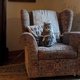 thumbnail image 4 of Cat Toy with Interactive for Indoor Cats 1Set, 4 of 4