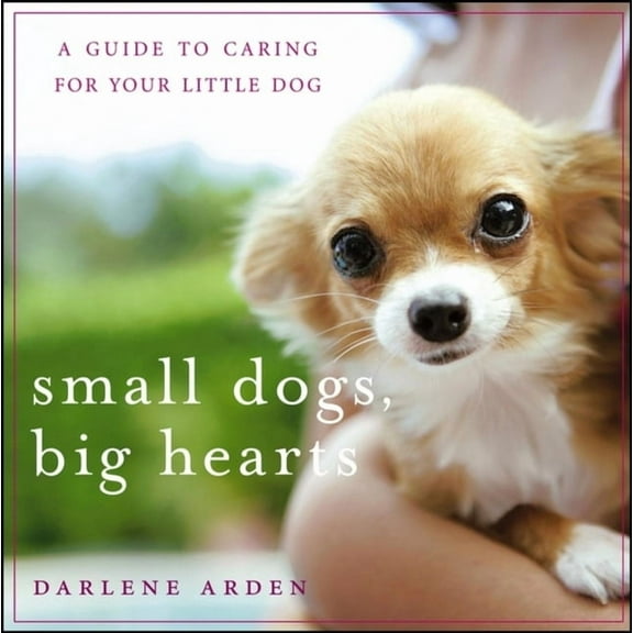 Small Dogs, Big Hearts: A Guide to Caring for Your Little Dog, (Paperback)