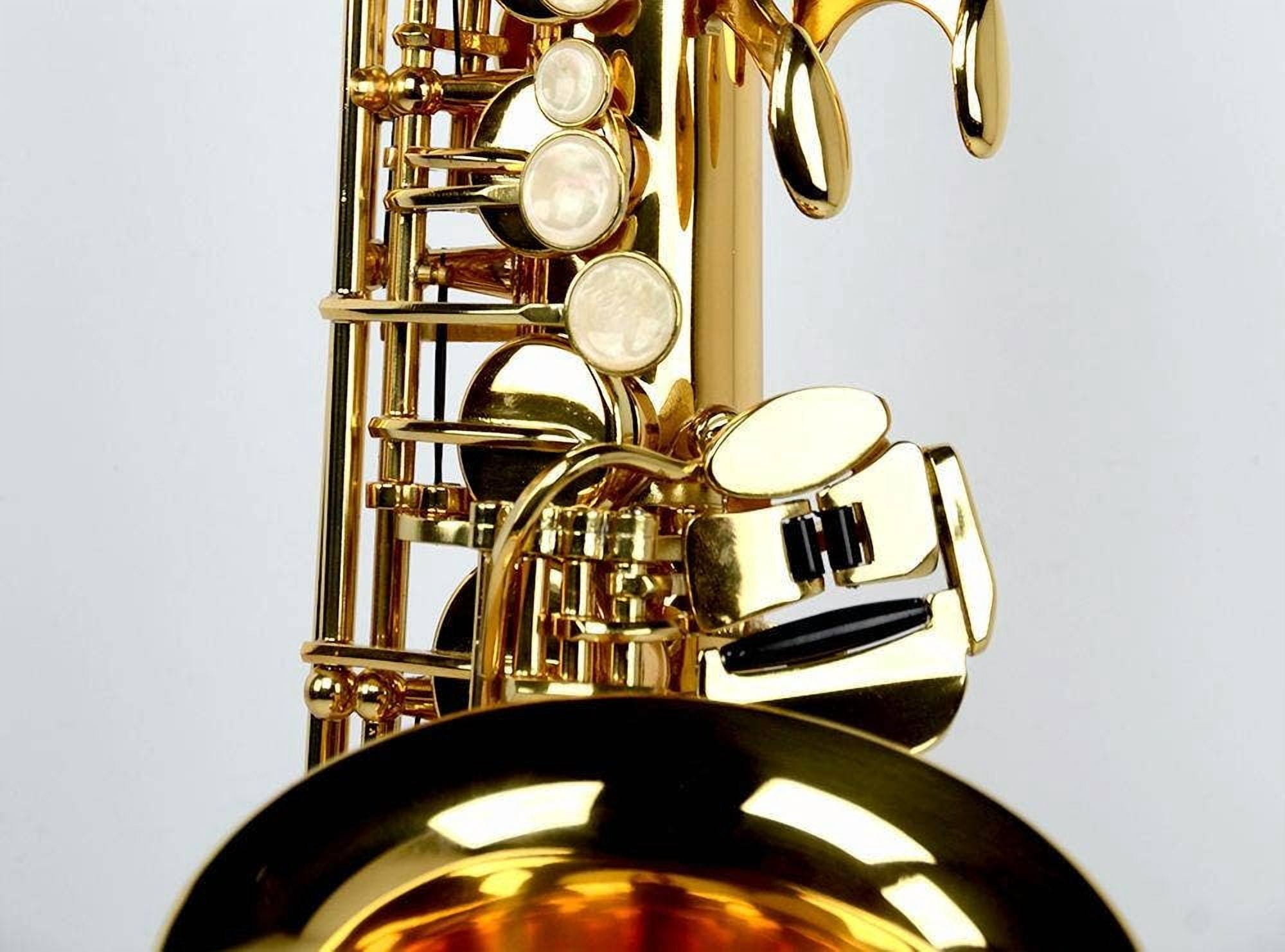 Benjamin Adams AS100 Beginner Alto Saxophone