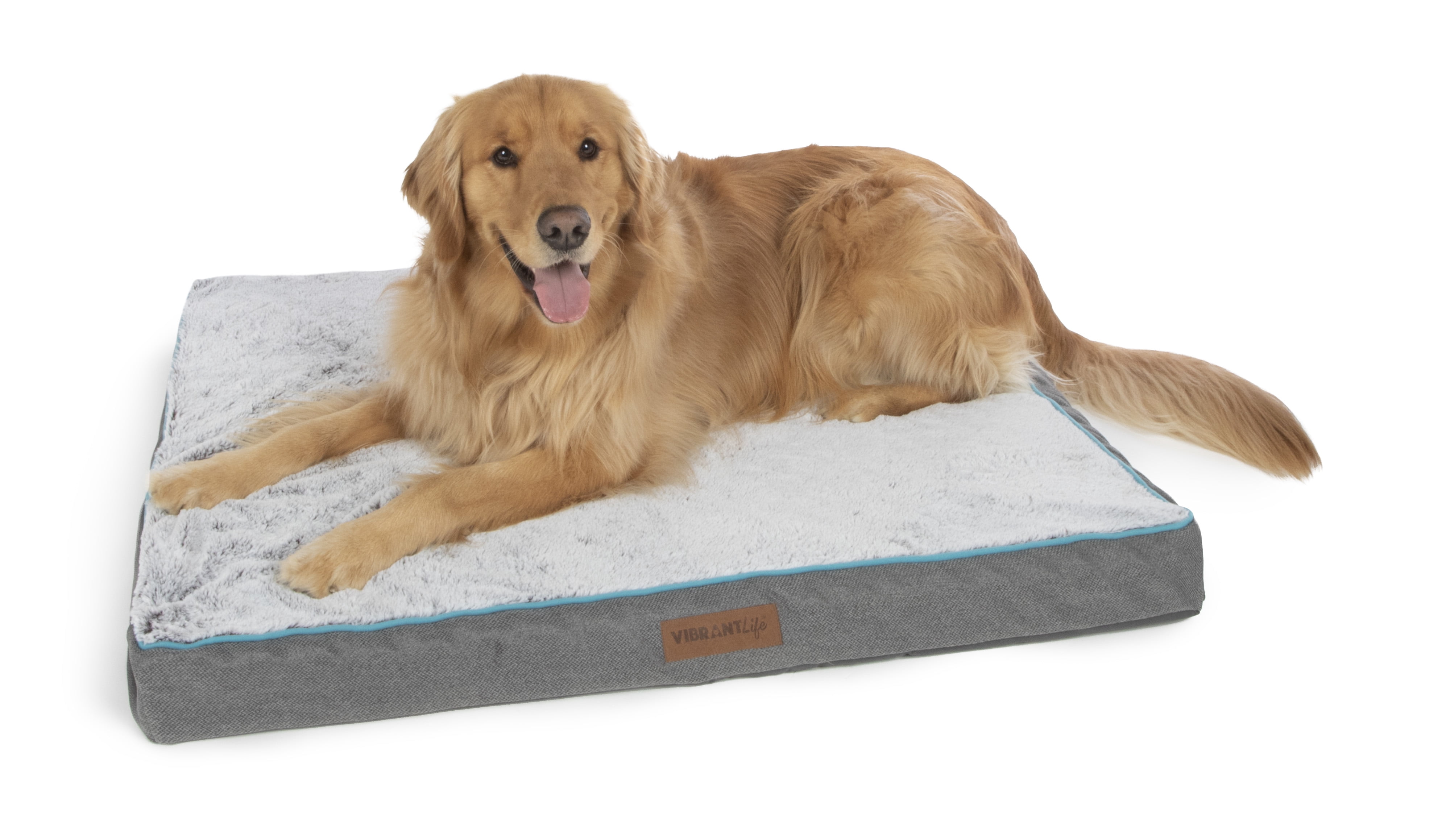 Vibrant Life Therapeutic Pet Bed, Dark Gray & Aqua