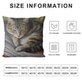 thumbnail image 6 of Nawypu  Sleepy Cats Pattern Cushion Cover Pillowslip Square Decorative Throw Pillow Case 2pc, 6 of 6