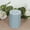 Dusty Blue, variant on Efavormart 12-Pack Unscented Pillar Candles – Dripless 3"x4" Blush Paraffin Wax with Smokeless Cotton Wicks, Clean & Long-Lasting Burn for Weddings, Home & Event Decor