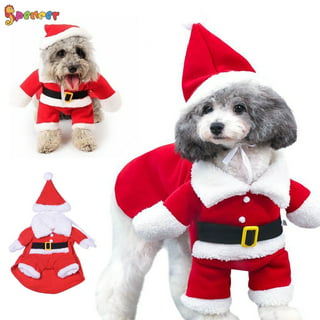 Merry & Bright XL Dog Present Box Costume Christmas Holiday Gift Outfit  X-Large