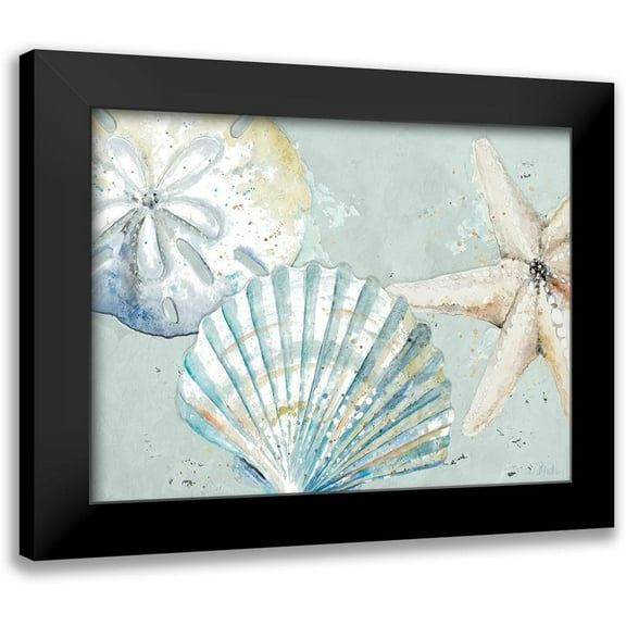 Pinto, Patricia 14x12 Black Modern Framed Museum Art Print Titled - Beach Shells
