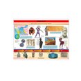 thumbnail image 1 of Póster Grecia Ii Educatodo B-5009-I, 1 of 2