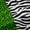 Black Green White, variant on Castle Fairy Cheetah Black Out Curtains,Zebra Stripes Curtains Pack of 2 (42x63 Each)