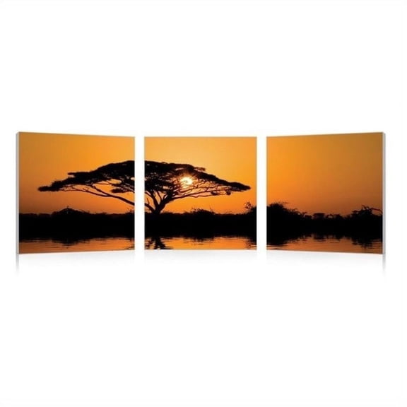 Savannah SunSet Mounted Print Triptych in Multicolor