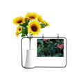 thumbnail image 1 of Flower Dark Sky Artificial Sunflower Vases Bottle Blessing Card, 1 of 3