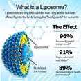 thumbnail image 4 of Suplemento de ribósido liposomal NAD nicotinamida de AMENQ Health, 4 of 8