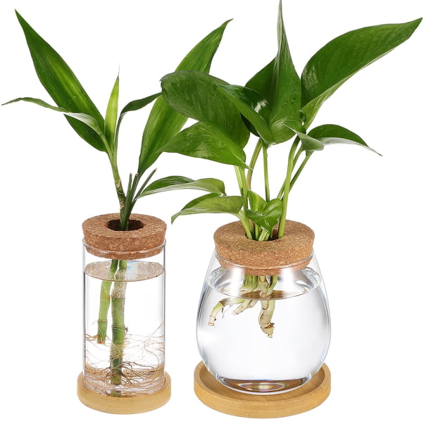 2 frascos de propagación de plantas, terrarios de vidrio, macetas con tapa de corcho, jarrones de vidrio, jardineras hidropónicas, macetas de vidrio con bandejas
