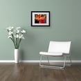 thumbnail image 3 of Trademark Fine Art "Dreamscape" by CH Studios, Black Frame, 3 of 3