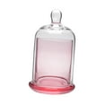thumbnail image 1 of Portavelas de cristal con forma de campana, cubierta de campana de cristal, tarro para vela, cúpula de cristal con Base para plantas, postre, Mini rosa, 1 of 10