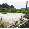 thumbnail image 3 of SHENMO Fine Mesh Garden Insect Netting: 3x5 Meters Silver, Butterfly Vegetable Protection Netting for Plants Fruits Carrot Fly Crop Protection Against Insect Pests, 3 of 5