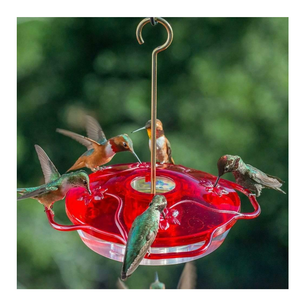 Droll Yankees Little Flyer 4 Hummingbird Feeder (Red) - image 3 of 3