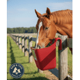 thumbnail image 5 of Little Giant 12 Quart Plastic Hook Over Feeder Mountable Livestock Feed Bucket Red, 5 of 5