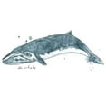 thumbnail image 2 of Vess, June Erica 24x14 White Modern Wood Framed Museum Art Print Titled - Cetacea Sei Whale, 2 of 4