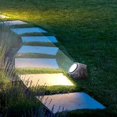 thumbnail image 3 of Set con 2 jardines solares con luz LED blanca de 12 cm de alto,, 3 of 5