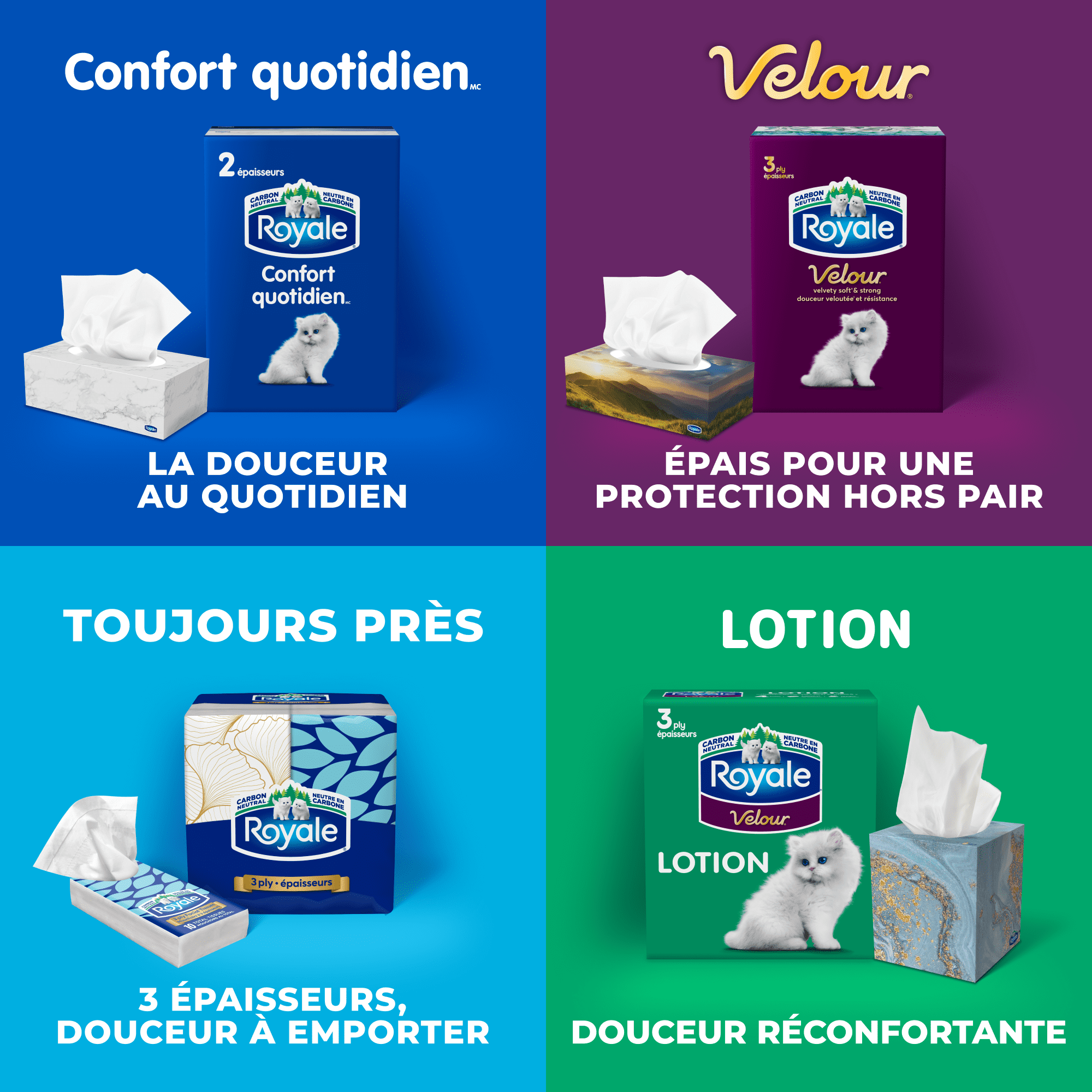 Royale Velour, 3 Ply Facial Tissue, 12 Flat Boxes, 82 Tissues per Box