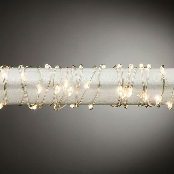 10' Solar Fairy Lights, 60 Light, Silver Wire, Warm White