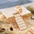 thumbnail image 4 of Wooden Hamster Platform with Climbing Ramp, Natural Wood Standing Ledge for Small Animal Cage Accessories, Syrian Hamster Dwarf Mouse Nesting Exercise Playground, 4 of 6