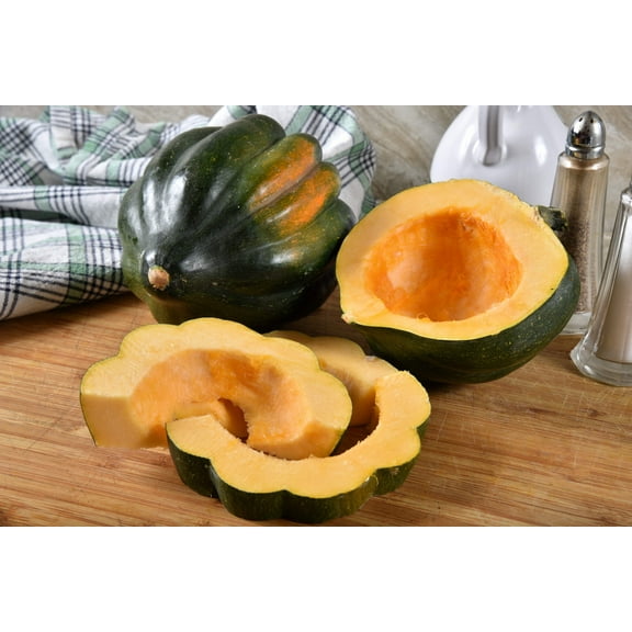 50 Seeds TABLE KING Acorn SQUASH Winter or Summer Cucurbita Maxima Vegetable Seeds