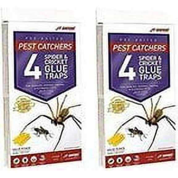 JT Eaton Pest Catchers Spider and Cricket Trap - Large Glue Trap - 3-Pack