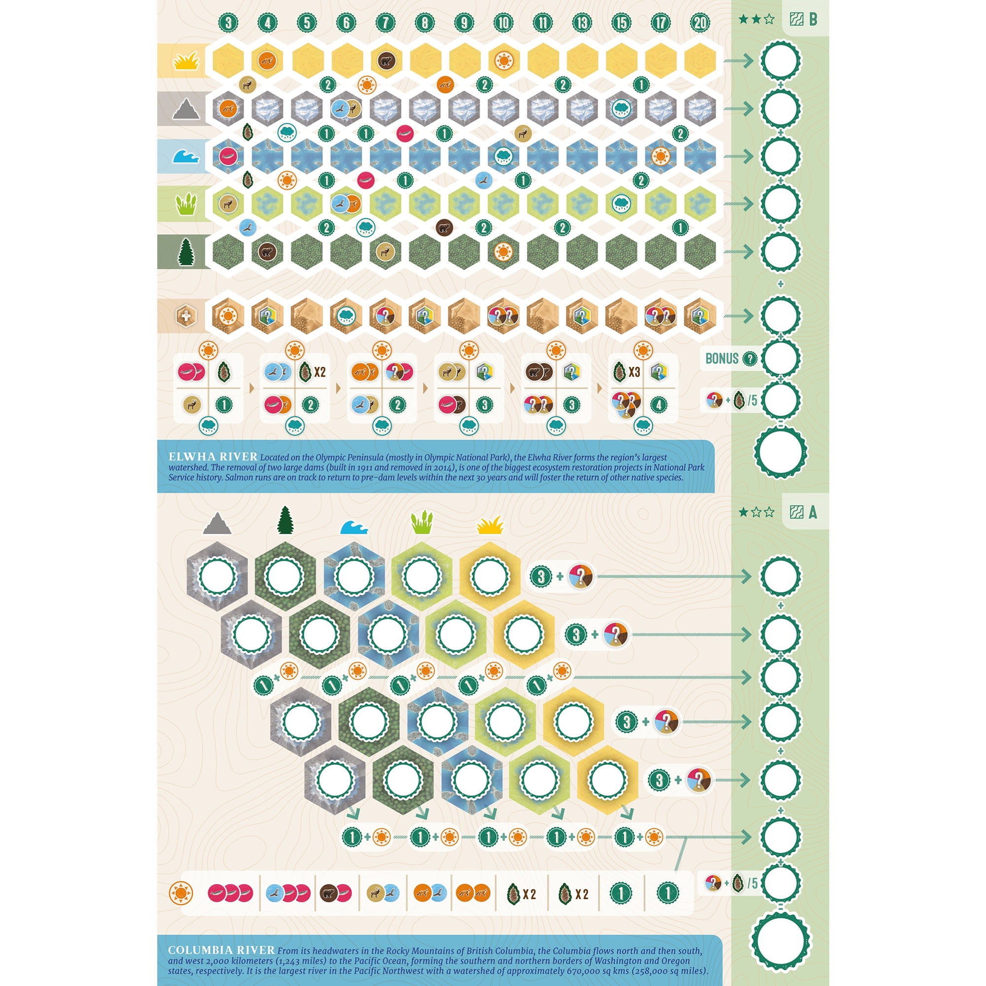 AEG: Cascadia: Rolling Rivers - Puzzly Flip-Roll-Write Board Game, Build Ecosystems, Explore PNW Nature & Wildlife, Ages 10+, 1-4 Players, 30 Mins
