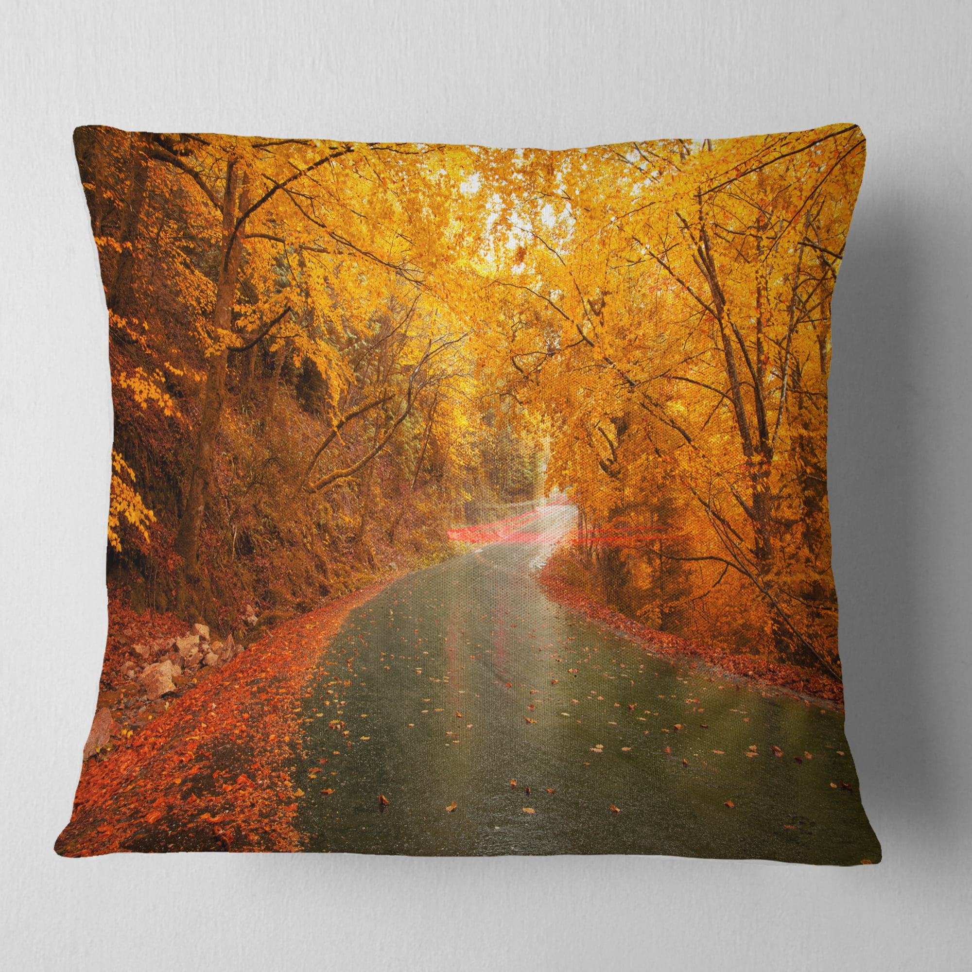 Designart Autumn Light Trails on Road - Landscape Photography Throw Pillow - 18x18
