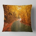 thumbnail image 2 of Designart Autumn Light Trails on Road - Landscape Photography Throw Pillow - 18x18, 2 of 5