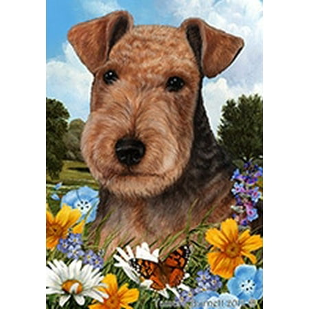 Lakeland Terrier - Best of Breed  Summer Flowers Garden