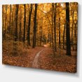 thumbnail image 2 of Chemin dans la Forêt d'Automne Jaune - Art sur Toile Forêt Moderne, 2 of 4