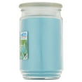 thumbnail image 4 of Mainstays Single-Wick Scented Glass Jar Candle, Garden Rain, 20oz., 4 of 7