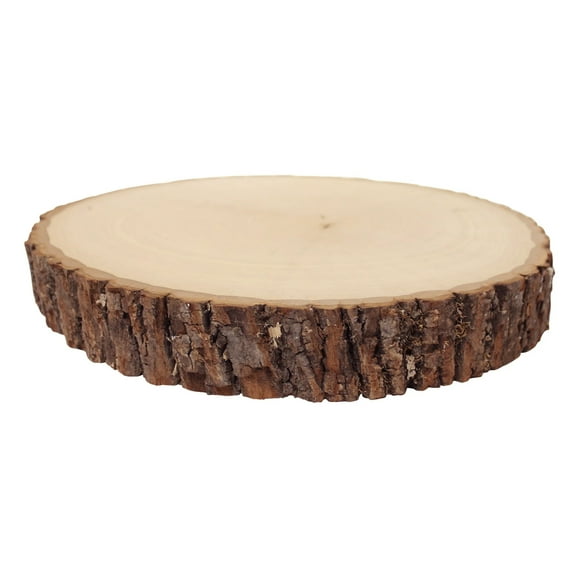 RUSTIC BASSWOOD LIVE EDGE THICK STUMP, 6-PACK 7 TO 9 IN. WIDE X 1.63 IN.
