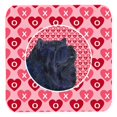 thumbnail image 1 of Carolines Treasures SS4501FC Chow Chow Foam Coasters - Set 4- 3.5 x 3.5 In., 1 of 1
