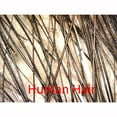 thumbnail image 4 of AmScope 200X 0.3MP 8-LED Zoom USB Digital Microscope Endoscope XP/Vista/7/8 & Mac New, 4 of 5
