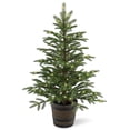 thumbnail image 3 of National Tree Company 4 ft. Pre-Lit Feel Real® Artificial Norwegian Spruce Entrance Christmas Tree, Green, Clear Lights, Includes Whiskey Barrel Base, 3 of 5