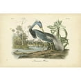 thumbnail image 3 of Audubon, John James 14x11 Black Modern Framed Museum Art Print Titled - Audubons Louisiana Heron, 3 of 5
