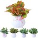 thumbnail image 1 of Gwong Decoración hogareña Artificial Bonsai Fake Leaf Plant Wall Wall Adorno Fiesta Sala de estar Decoración Gwong 21049159, 1 of 7