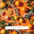 thumbnail image 2 of Cartucho de fragancia ScentAir Monthly para Whisper Home, 2 of 7