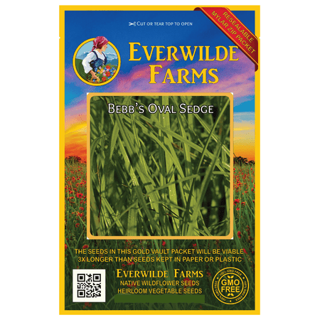 Everwilde Farms - 1000 Bebbs Oval Sedge Native Grass Seeds - Gold Vault Jumbo Bulk Seed Packet