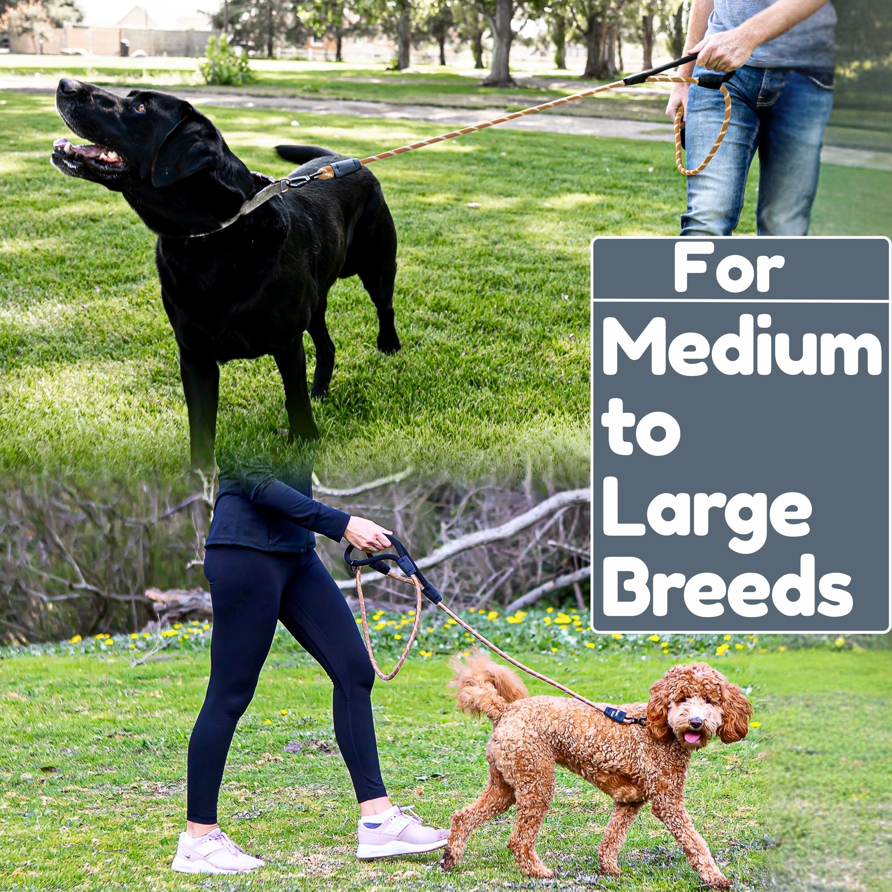 6 Ft Dog Leash - Heavy Duty Leashes for Medium Dogs to Large Breeds, Two Extra Padded Handles, Reflective, Shock-Absorbing, Strong Anti-Pull Rope Training Leash for Walking & Running - Roam Gear