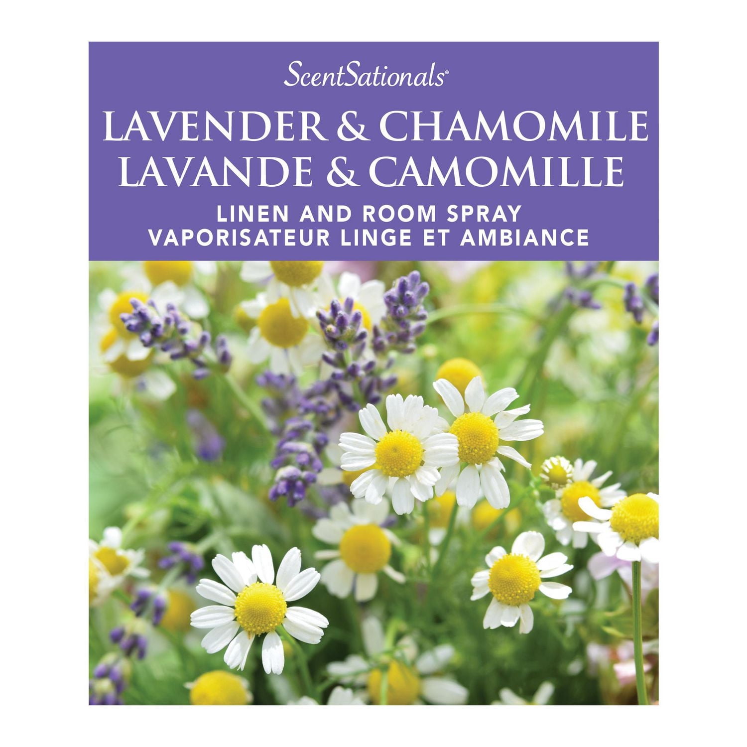 ScentSationals Room Spray - Lavender & Chamomile, 236.5 mL (8 fl oz)