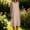 Khaki, variant on Midi Dresses For Women Sevevn Women's Summer Striped Sleeveless Dress Crew Neck Casual Beach Midi Dress Green S