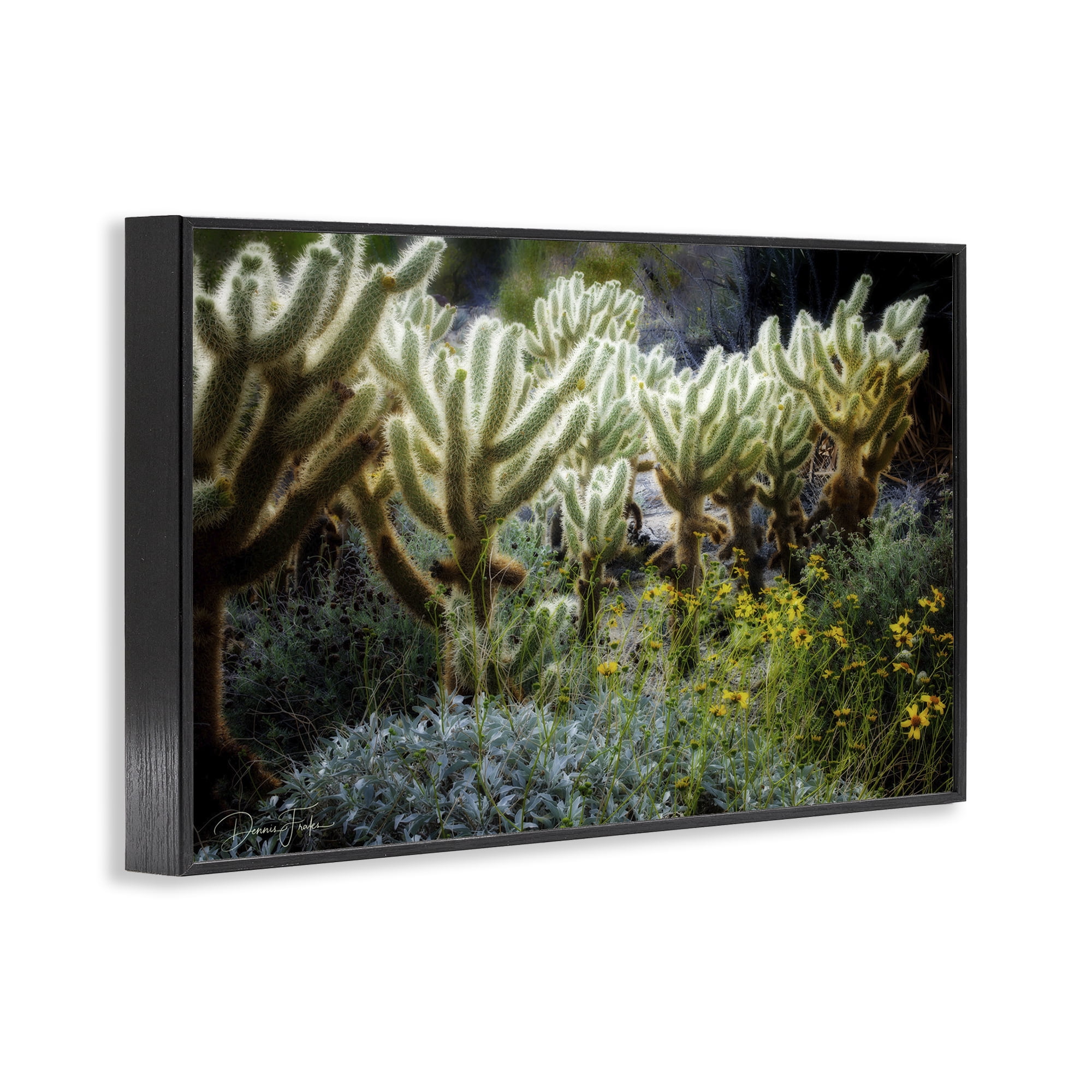 Stupell Industries Desert Cactus Forest Landscape Photography Black Framed Art Print Wall Art, 30 x 20