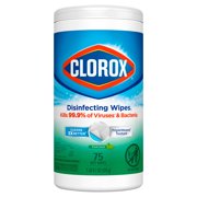 Clorox Disinfecting Wipes Fresh Scent 75 each