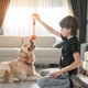 thumbnail image 5 of 10 Uds. Cuerda para masticar para cachorros, entrenamiento dental para perros, cachorros, juego de juguetes para masticar, Limpieza de dientes de algodón para perros pequeños, medianos y grandes JShteea El nuevo, 5 of 9