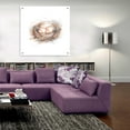 thumbnail image 6 of Epic Art "Bird Life IV" by Ethan Harper, Acrylic Glass Wall Art, 36"x36", 6 of 7