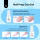 thumbnail image 2 of Deshidratador de uñas e imprimador Beetles, 20 ml, gran capacidad, 2 of 8